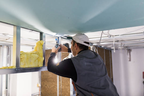 Best Residential Insulation Services  in Stockton, MO