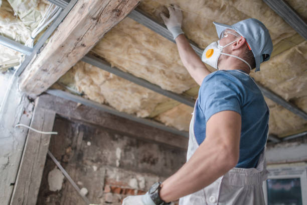 Best Insulation Inspection Services  in Stockton, MO