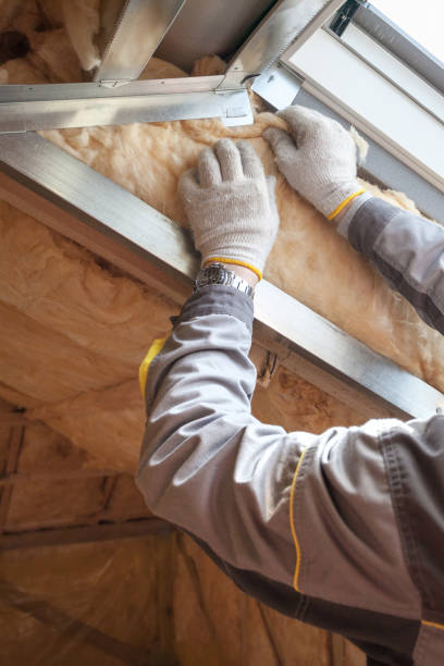 Best Home Insulation Services  in Stockton, MO