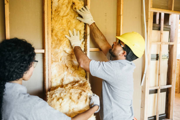 Best Best Insulation Companies  in Stockton, MO