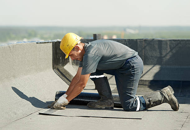 Best Home Insulation Services  in Stockton, MO