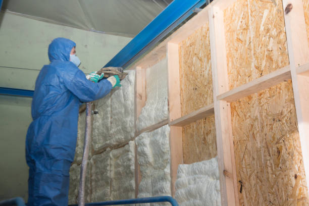 Best Soundproof Insulation Installation  in Stockton, MO