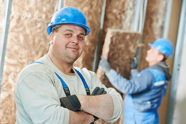 Best Insulation Replacement Services  in Stockton, MO