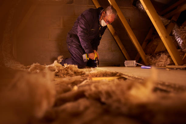 Best Local Insulation Services  in Stockton, MO